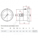 Манометр гидрозаполненный ТМ-520Т.20 осевой Дк100мм 0-2,5 МПа кл.1,0 G1/2